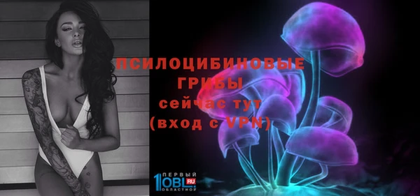 меф Нефтегорск