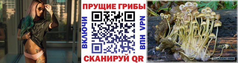Галлюциногенные грибы MAGIC MUSHROOMS  Ясногорск 